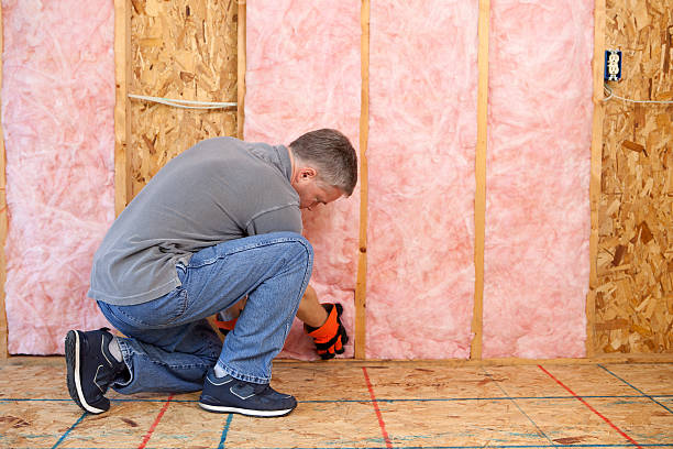 Best Eco-Friendly or Green Insulation Solutions  in Hollidaysburg, PA